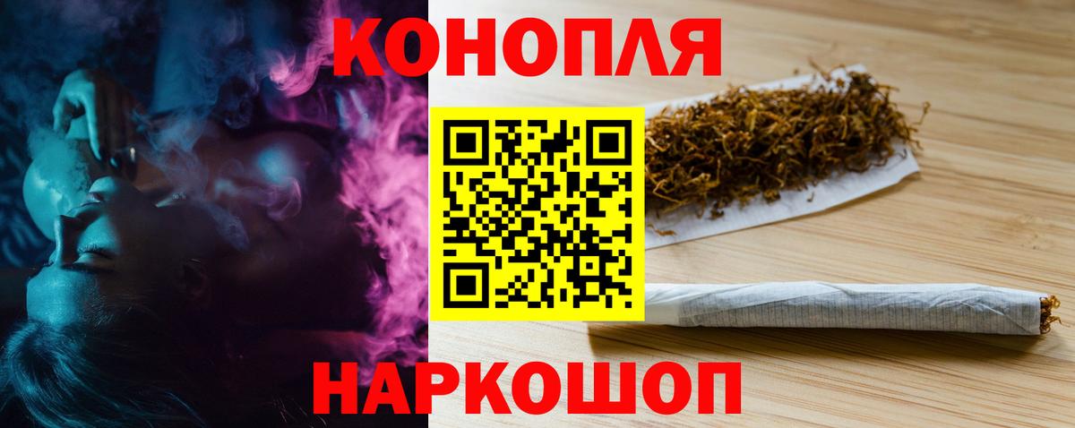 Конопля сатива Нижневартовск